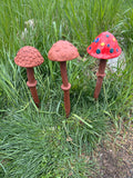 1-Day Garden Mushroom Hand-Building! Saturday May 24th