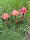 1-Day Garden Mushroom Hand-Building! Saturday May 24th